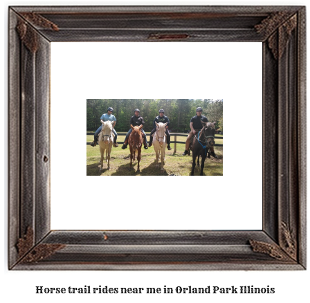 horse trail rides near me in Orland Park, Illinois